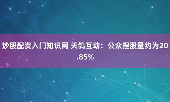炒股配资入门知识网 天鸽互动：公众捏股量约为20.85%