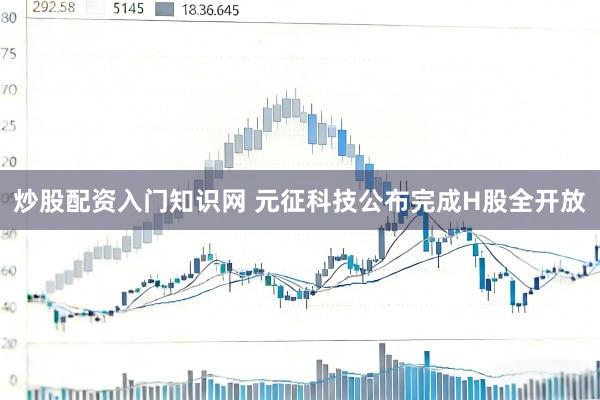 炒股配资入门知识网 元征科技公布完成H股全开放