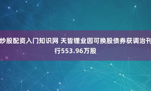 炒股配资入门知识网 天皆锂业因可换股债券获调治刊行553.96万股