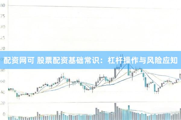 配资网可 股票配资基础常识：杠杆操作与风险应知
